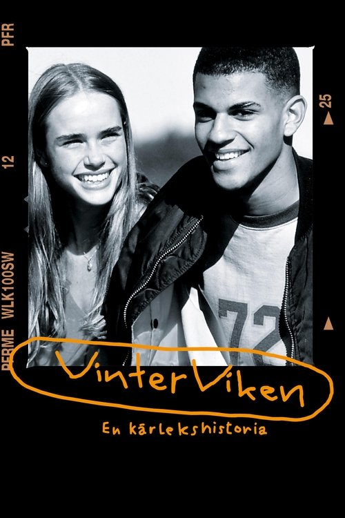 Movie poster for Vinterviken (1996)