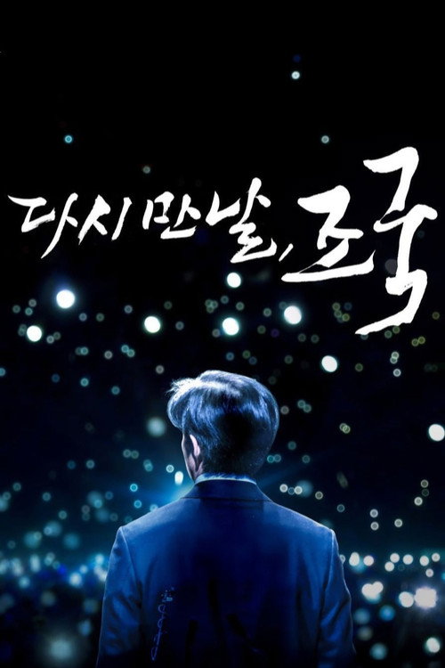 Movie poster for Another His, Spring (2025)