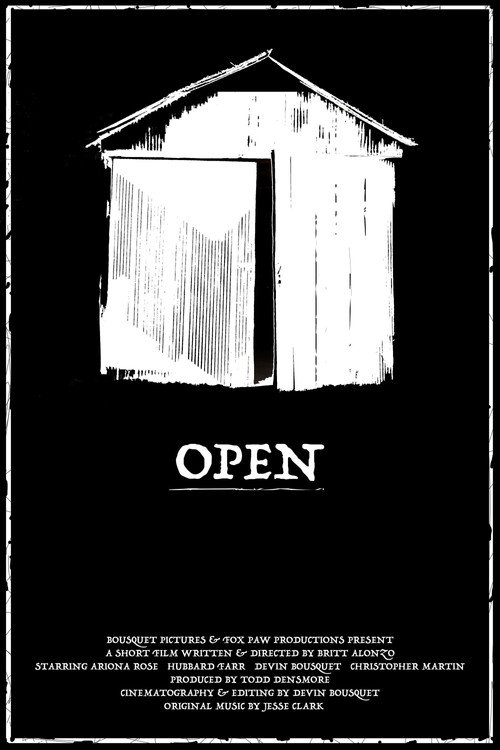 Movie poster for Open (2021)