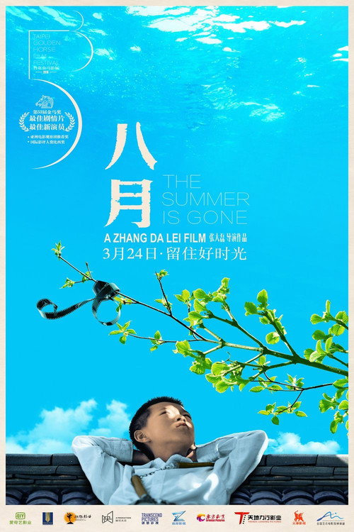 Movie poster for The Summer Is Gone (2016)