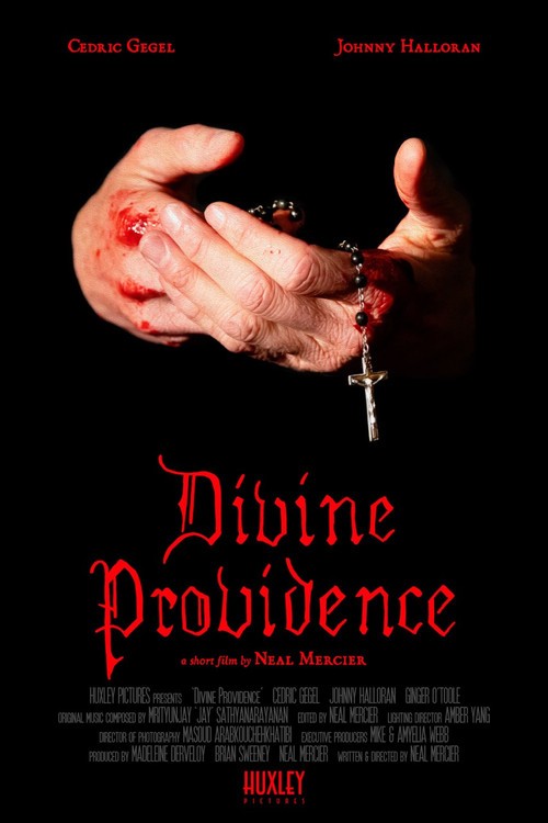 Movie poster for Divine Providence