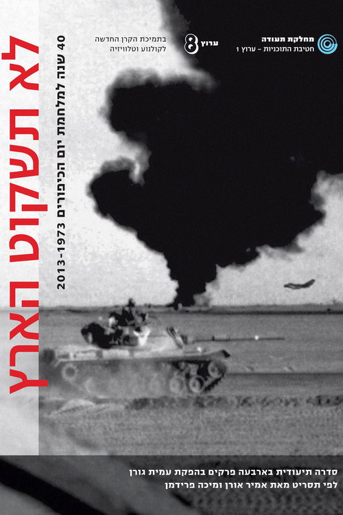 Series poster for The Avoidable War (2013)