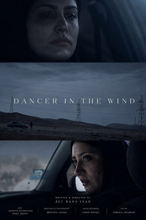 Movie poster for Dancer In The Wind (2014)