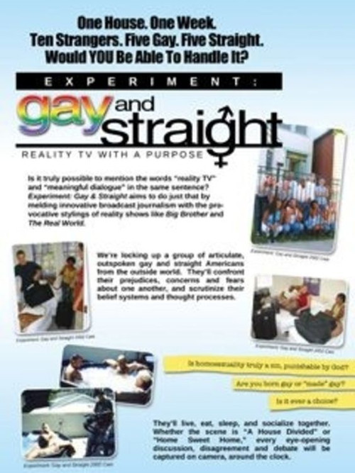 Movie poster for The Experiment: Gay & Straight (2003)
