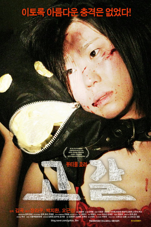 Movie poster for Exhausted (2008)