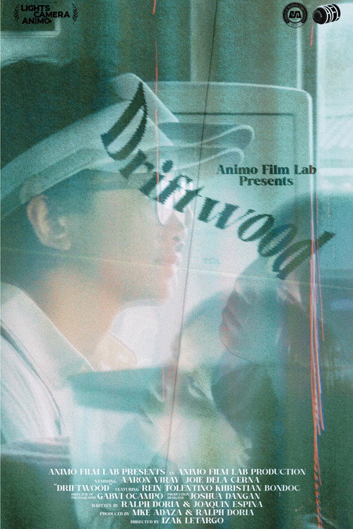 Movie poster for Driftwood (2024)