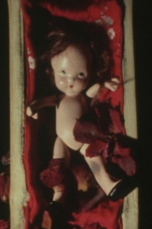 Movie poster for Emotional Volatility About My Father (1981)