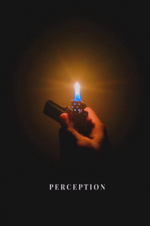 Movie poster for Perception (2026)