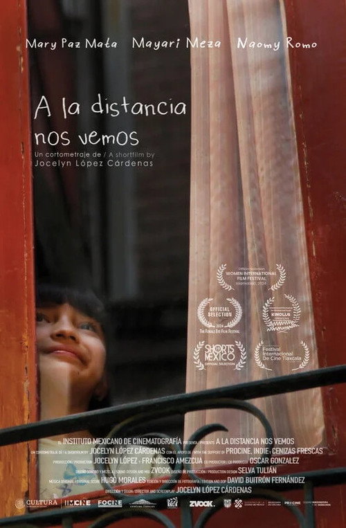 Movie poster for From A Distance We See Each Other (2023)