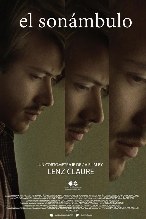 Movie poster for The Sleepwalker (2014)