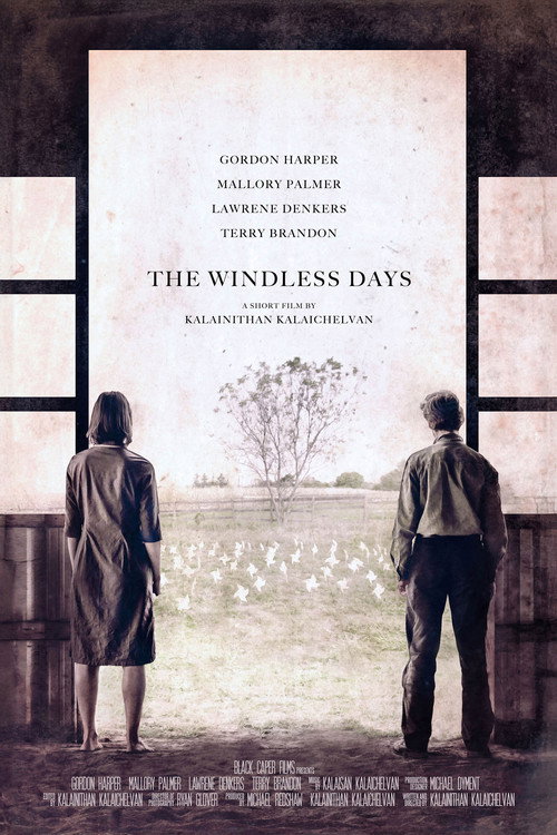 Movie poster for The Windless Days (2018)