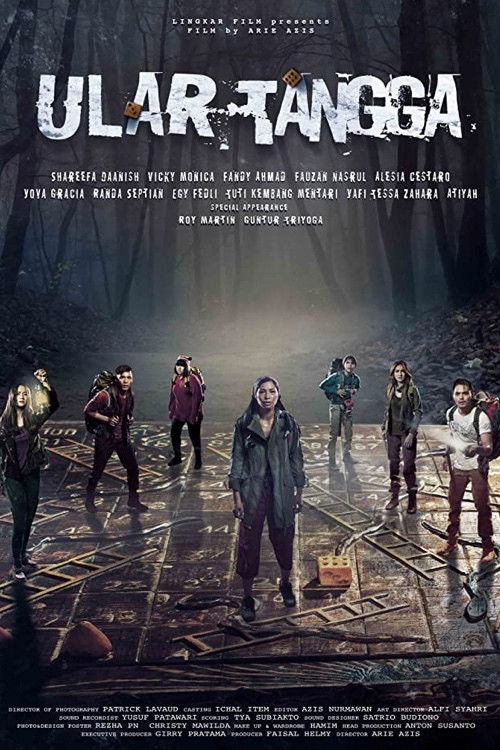 Movie poster for Snakes & Ladder (2017)