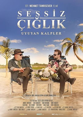 Movie poster for Sessiz Çığlık