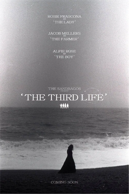 Movie poster for The Third Life (2023)