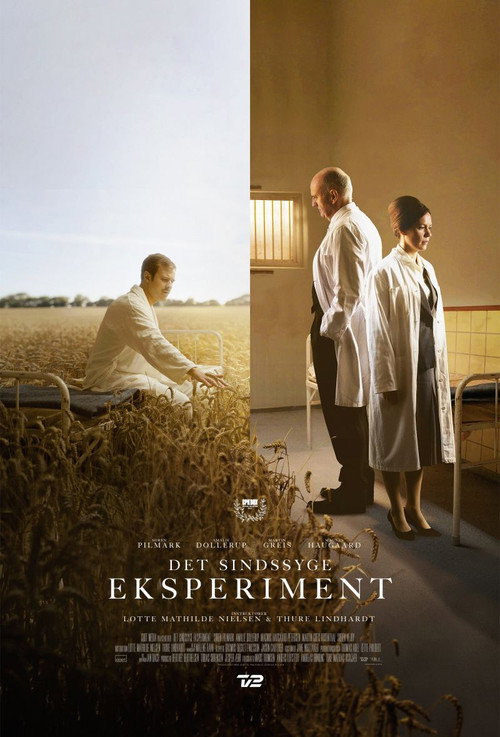 Movie poster for The Insane Experiment (2023)