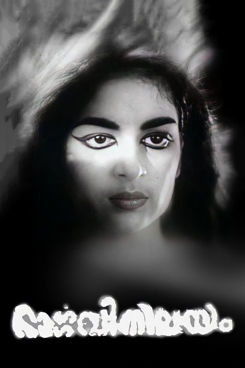 Movie poster for Bhargavi Nilayam (1964)