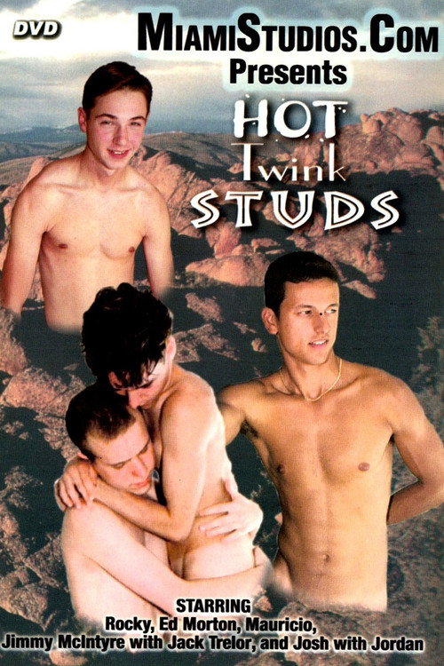 Movie poster for Hot Twink Studs (2003)