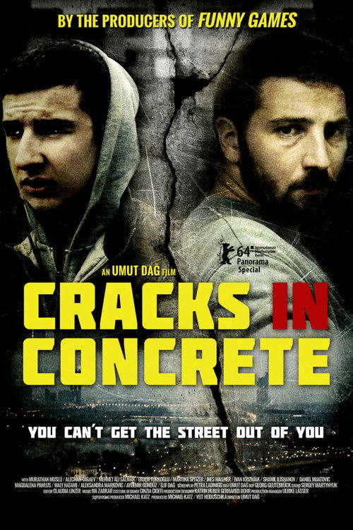 Movie poster for Cracks in Concrete (2014)