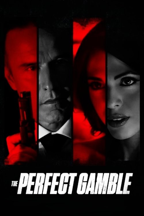 Movie poster for The Perfect Gamble (2025)