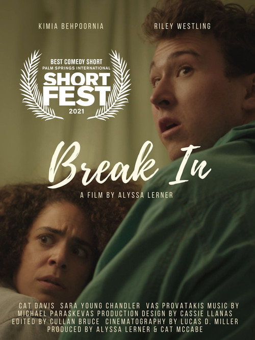 Movie poster for Break In (2020)