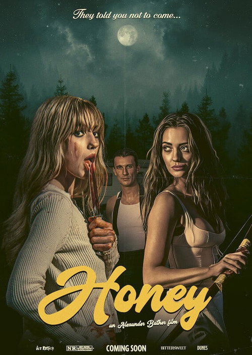 Movie poster for HONEY