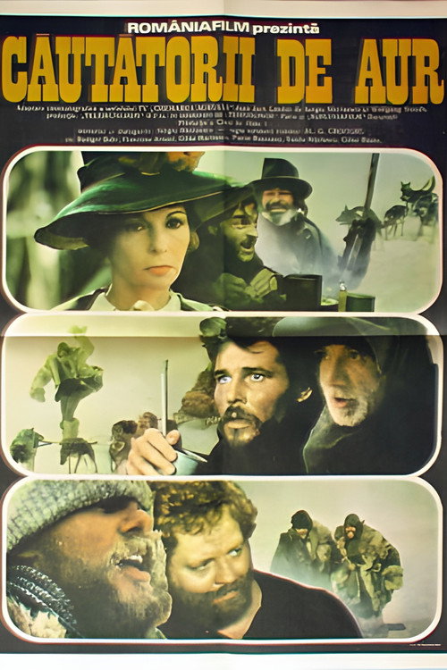Movie poster for The Gold Diggers (1986)