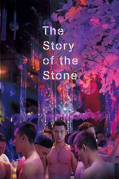 Movie poster for The Story of the Stone (2018)