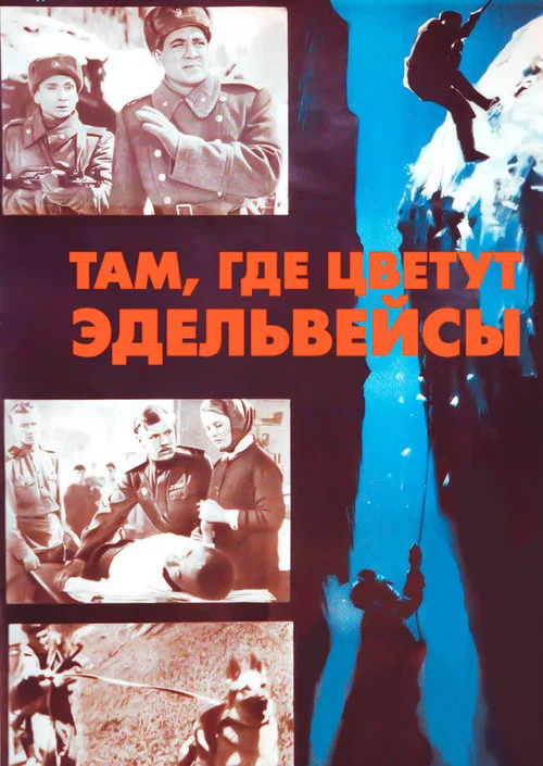 Movie poster for Where the Edelweiss Blooms (1965)