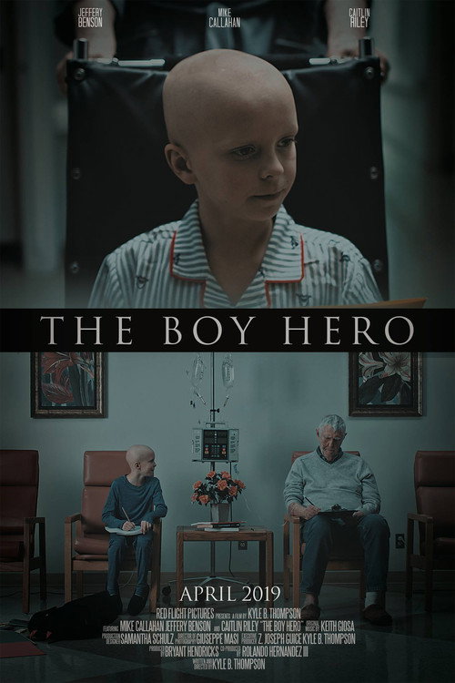 Movie poster for The Boy Hero (2019)