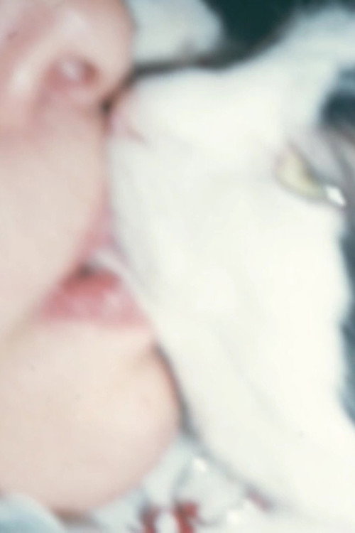 Movie poster for Mysteries of the Pussies (2010)