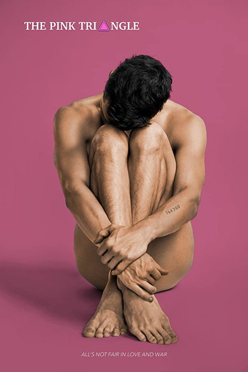 Movie poster for The Pink Triangle (2020)