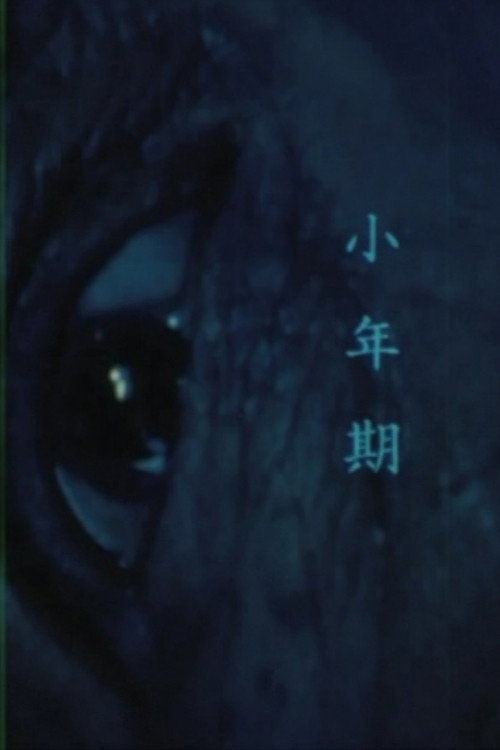 Movie poster for Brushing (1998)