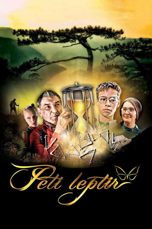Movie poster for Fifth Butterfly (2014)