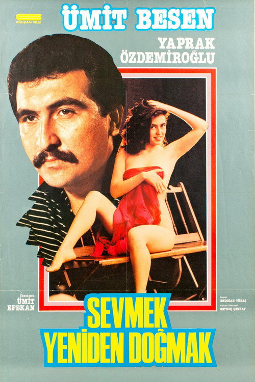 Movie poster for Sevmek Yeniden Doğmak