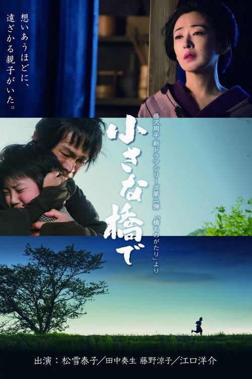 Movie poster for 小さな橋で (2017)