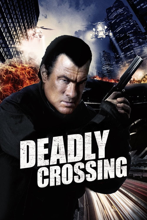 Movie poster for Deadly Crossing (2010)
