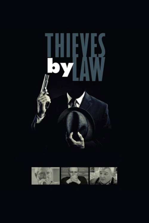Movie poster for Thieves by Law (2010)