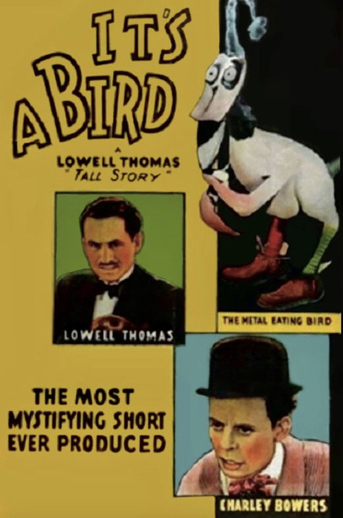 Movie poster for It's a Bird (1930)