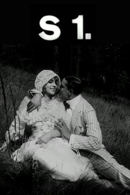 Movie poster for S1 (1913)
