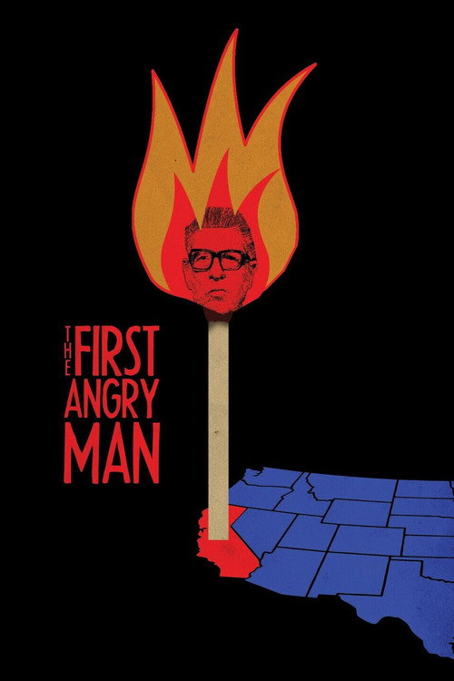 Movie poster for The First Angry Man (2019)