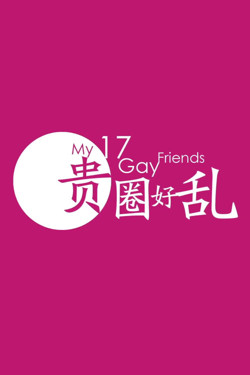 Movie poster for My 17 Gay Friends (2014)