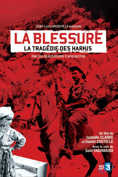 Movie poster for An Unhealed Wound - The Harkis in the Algerian War (2010)