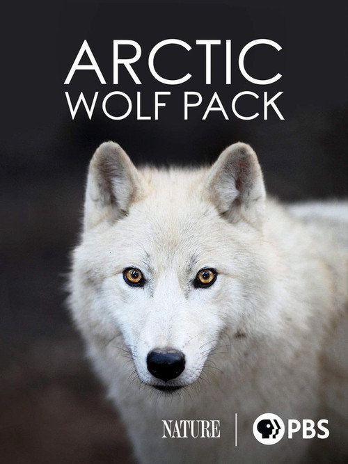 Movie poster for Nature: Arctic Wolf Pack