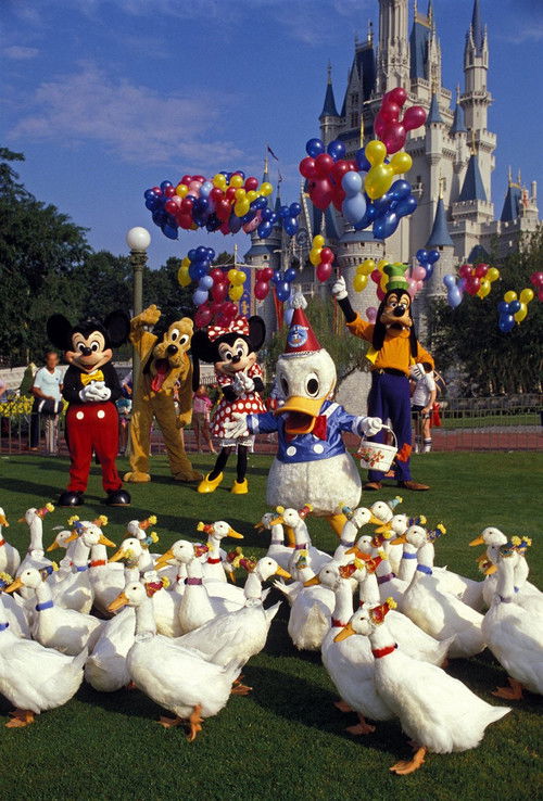 Movie poster for Donald Duck's 50th Birthday (1984)