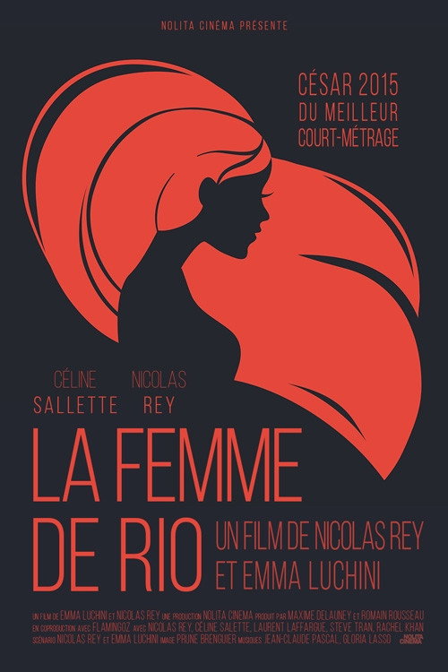 Movie poster for La femme de Rio (2013)