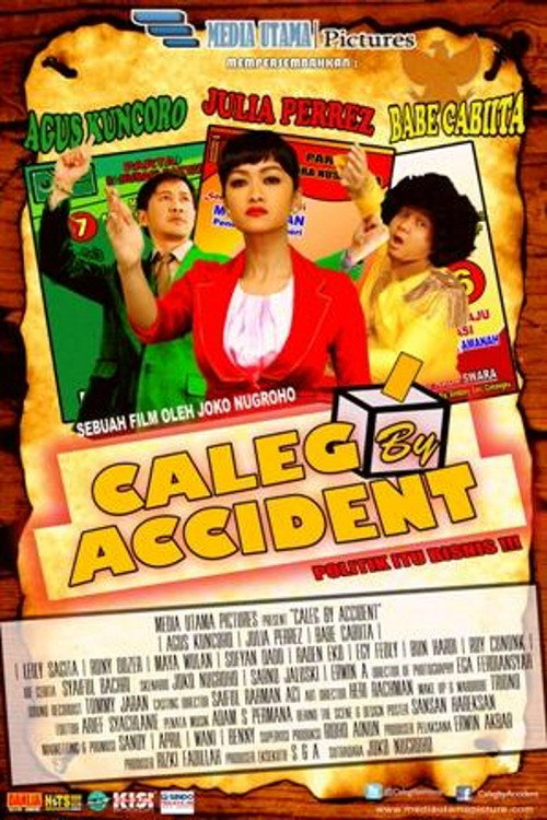 Movie poster for Caleg By Accident (2014)