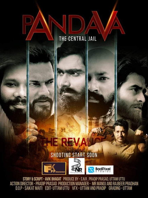 Movie poster for Pandava : The Central Jail