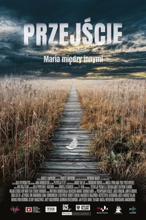 Movie poster for The Passage (2021)