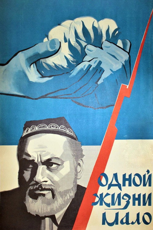 Movie poster for One Life is Not Enough (1974)