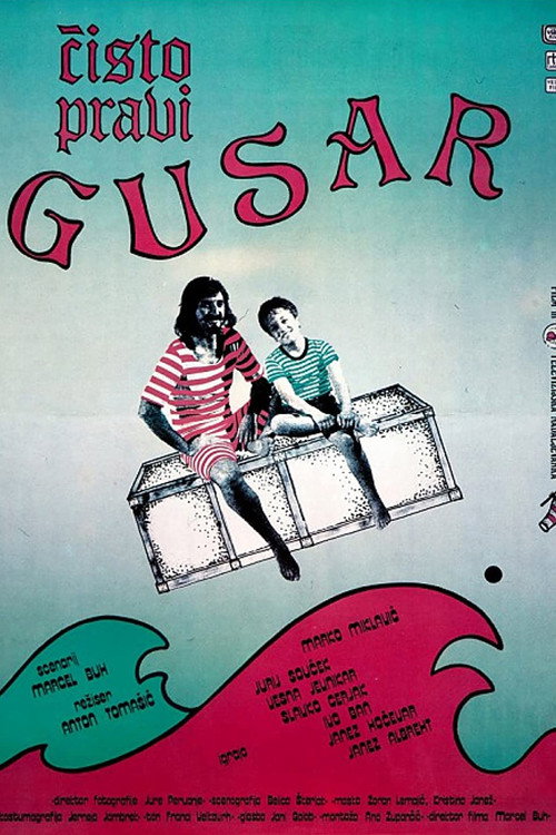 Movie poster for A Real Pirate (1987)